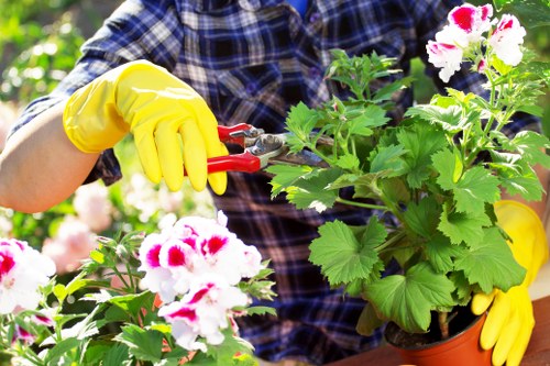 Professional garden clearance service in Aldgate