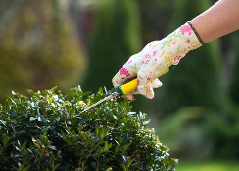 Gardener working in an Aldgate front garden