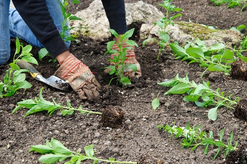 Gardeners Aldgate team preparing tools for a job